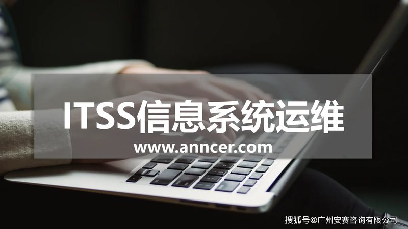 小标题：行业现状解读